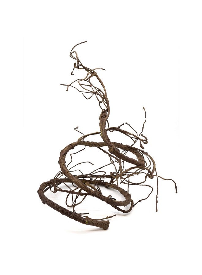 Pangea Pangea Reptile Ultimate Vine for Terrarium Habitat (Brown)  - Image 4