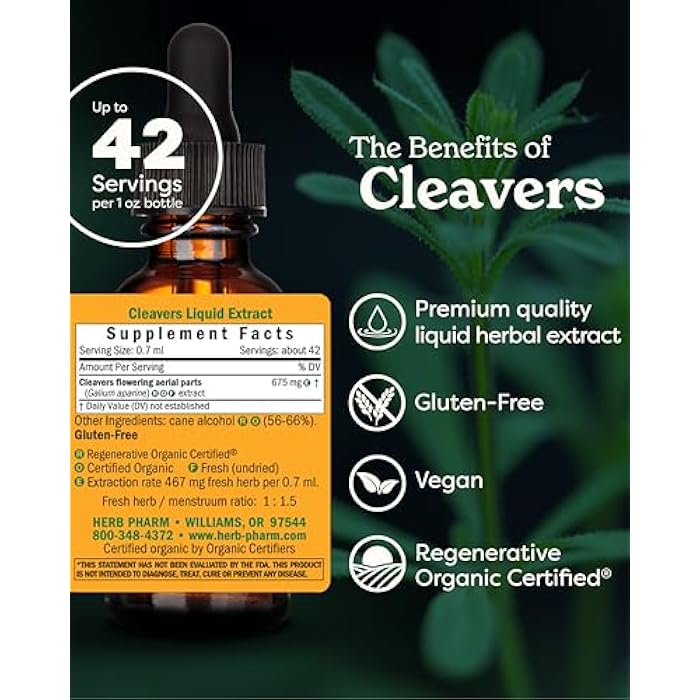 Herb Pharm Cleavers Liquid Extract - 1 Oz (DCLEAV01) - Image 2