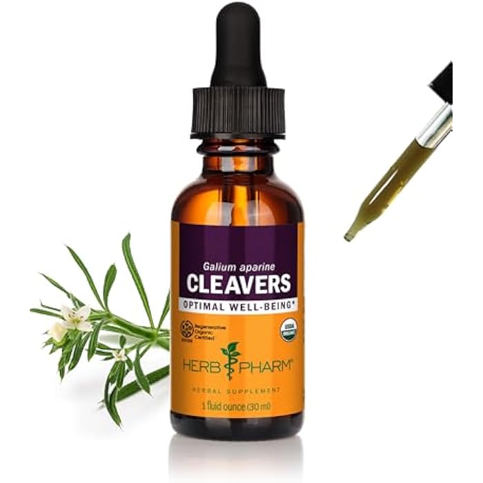 Herb Pharm Cleavers Liquid Extract - 1 Oz (DCLEAV01) - Image 1