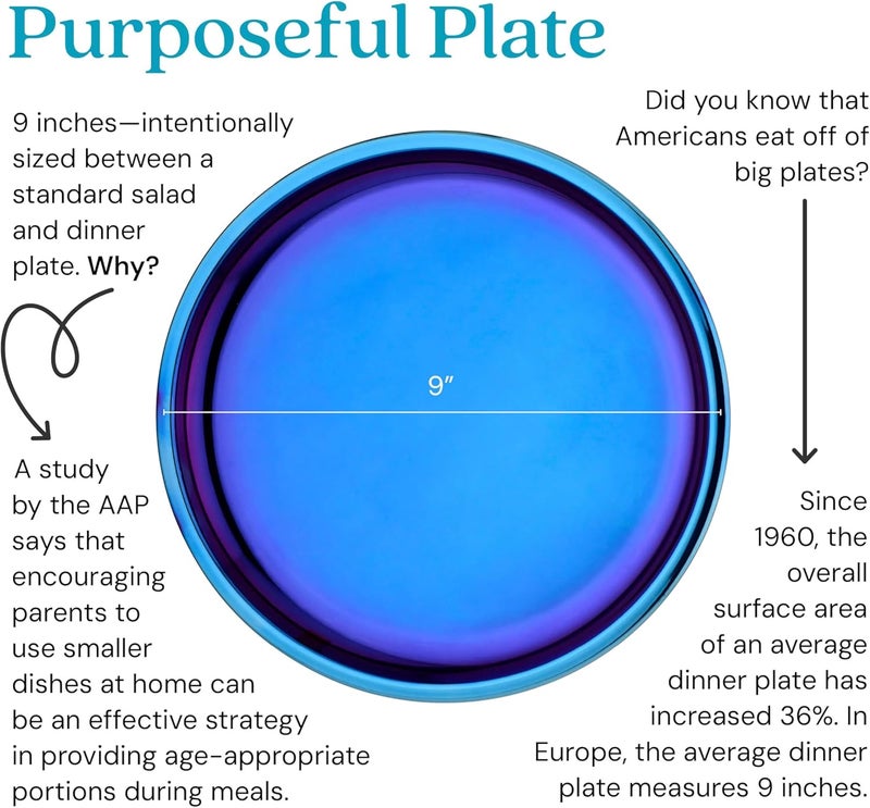 Ahimsa Stainless Steel Kids Plates  9 Round Blue Toddler Plates Non Toxic Plate BPA Free  Dishwasher Safe Single - Image 2