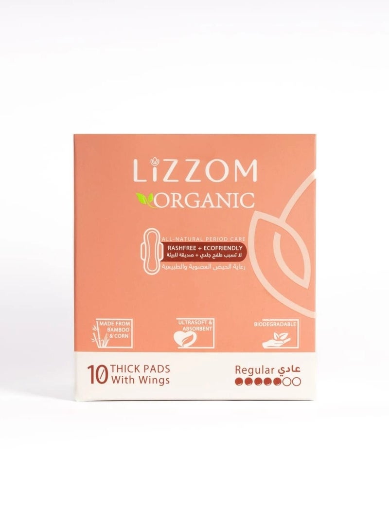 ليزوم فوط ليلية سميكة عضوية، مقاس عادي مع أجنحة، 10 قطع، ملمس جاف، خالية من البلاستيك، مضادة للبكتيريا، خالية من الروائح والطفح الجلدي - Image 1