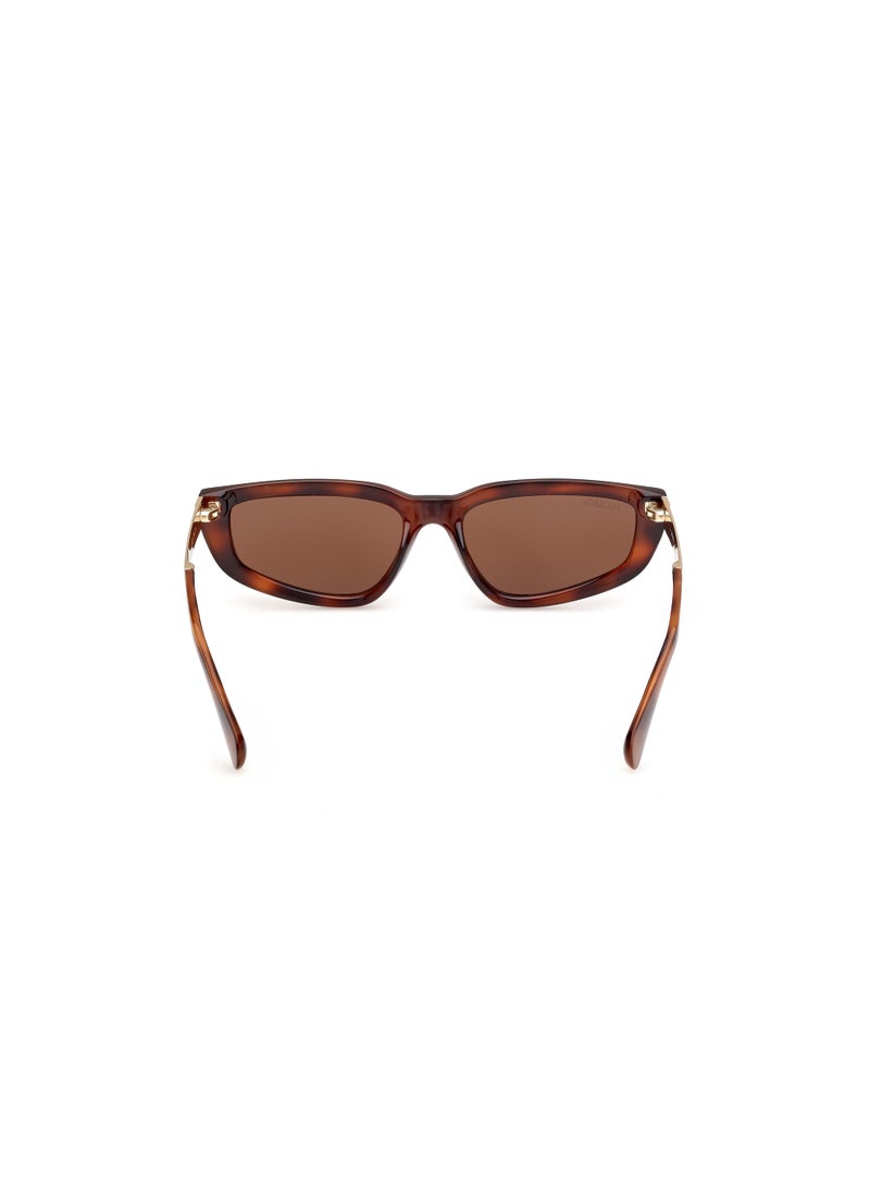 MAXCO Cateye Sunglasses  - Image 4