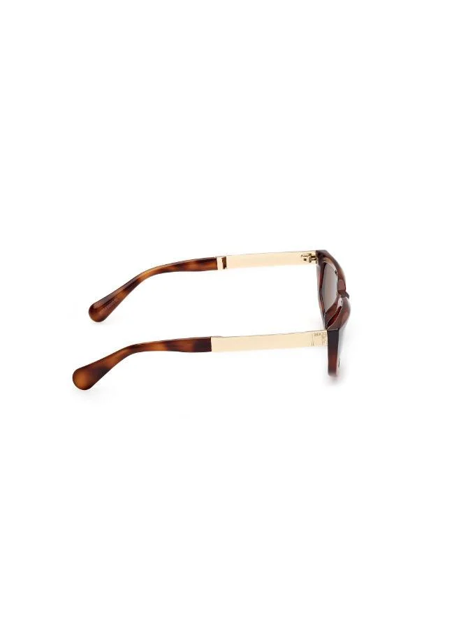 MAXCO  wayfarers sunglasses for Women | Best Price UAE