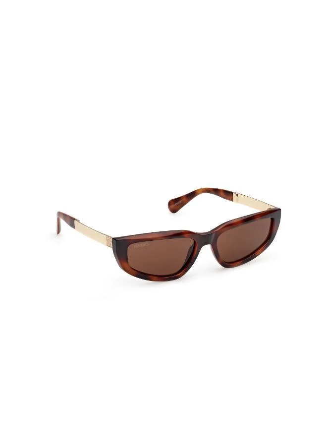 MAXCO  wayfarers sunglasses for Women | Best Price UAE