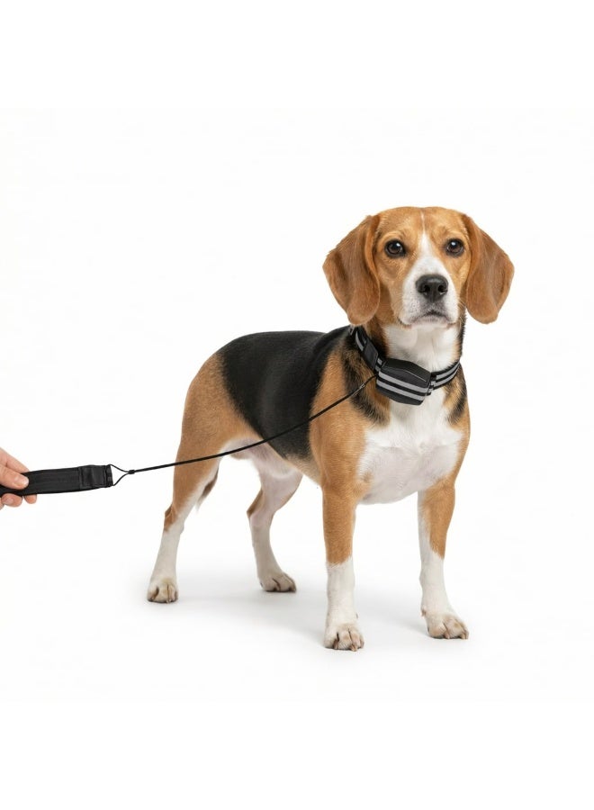طوق ومربط كلاب ذكي 2 في1  قابل للسحب ومدمج مع الطوق - تصميم مغناطيسي مريح للكلاب الكبيرة - Image 5