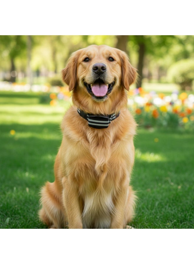 طوق ومربط كلاب ذكي 2 في1  قابل للسحب ومدمج مع الطوق - تصميم مغناطيسي مريح للكلاب الكبيرة - Image 4