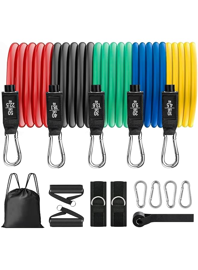 Resistance Band Set, Anti-Snap Tubes with Interchangeable Handles, Complete Home Gym Solution for Weight Loss, Physical Therapy and Calisthenics Training