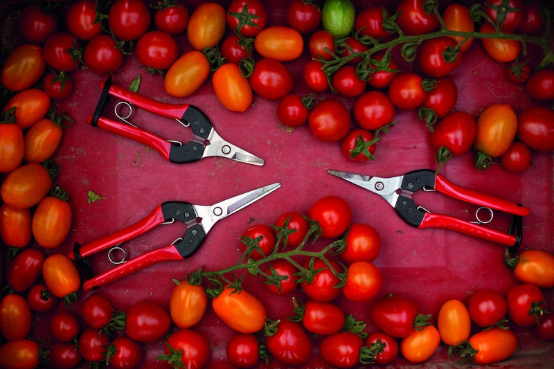 Felco F322 Pruning Snips – 9.84" Swiss-Made Garden Clippers with Curved Blade & Rounded Tip | Pruning Shears for Gardening | Garden Snips and Pruners with Carbon Steel Blade, Sap Groove - Image 4