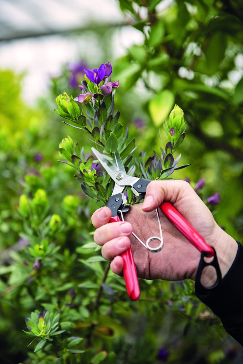 Felco F322 Pruning Snips – 9.84" Swiss-Made Garden Clippers with Curved Blade & Rounded Tip | Pruning Shears for Gardening | Garden Snips and Pruners with Carbon Steel Blade, Sap Groove - Image 3