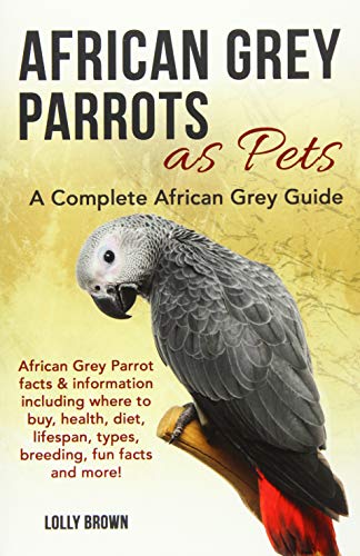 African Grey Parrots as Pets: African Grey Parrot facts & information including where to buy, health, diet, lifespan, types, breeding, fun facts and more! A Complete African Grey Guide  - Image 4