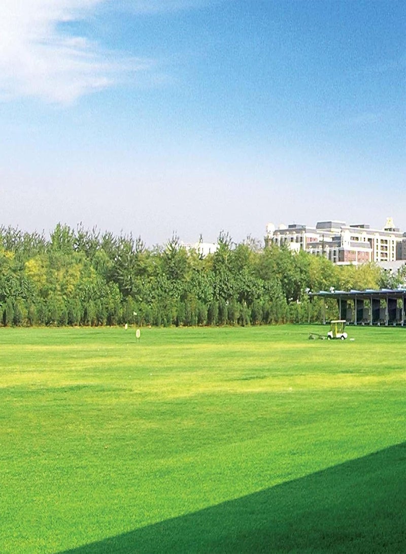 GGOOT 100Pcs/Bag Grass Seed Eco-Friendly Quick Germination Fresh Golf Green Grass Seeds for Home - Green Grass Seed - Image 4