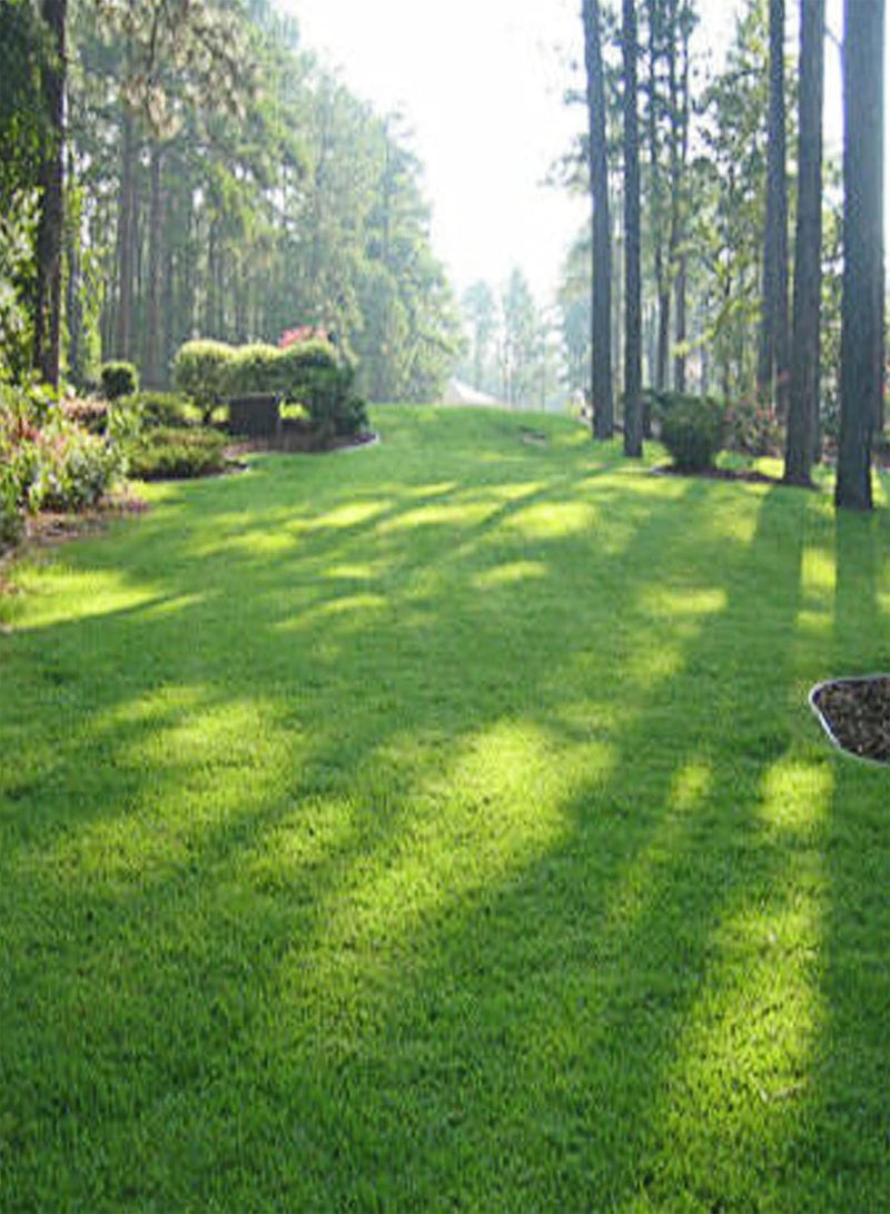 GGOOT 100Pcs/Bag Grass Seed Eco-Friendly Quick Germination Fresh Golf Green Grass Seeds for Home - Green Grass Seed - Image 1