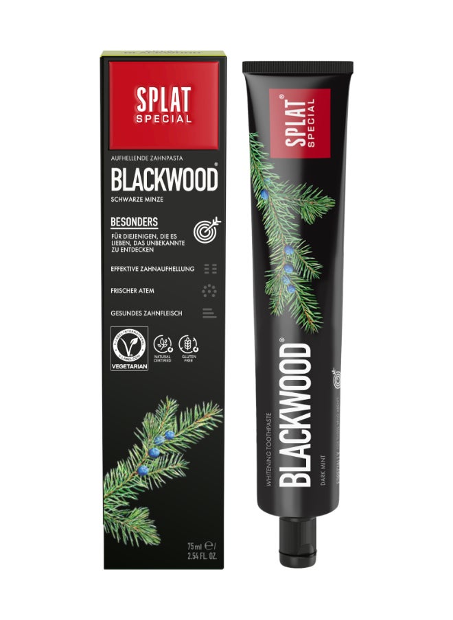 SPLAT Splat Special Blackwood Toothpaste 75ml  - Image 1