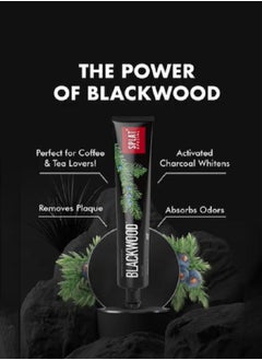 SPLAT Splat Special Blackwood Toothpaste 75ml  - Image 3