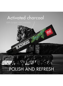 SPLAT Splat Special Blackwood Toothpaste 75ml  - Image 4