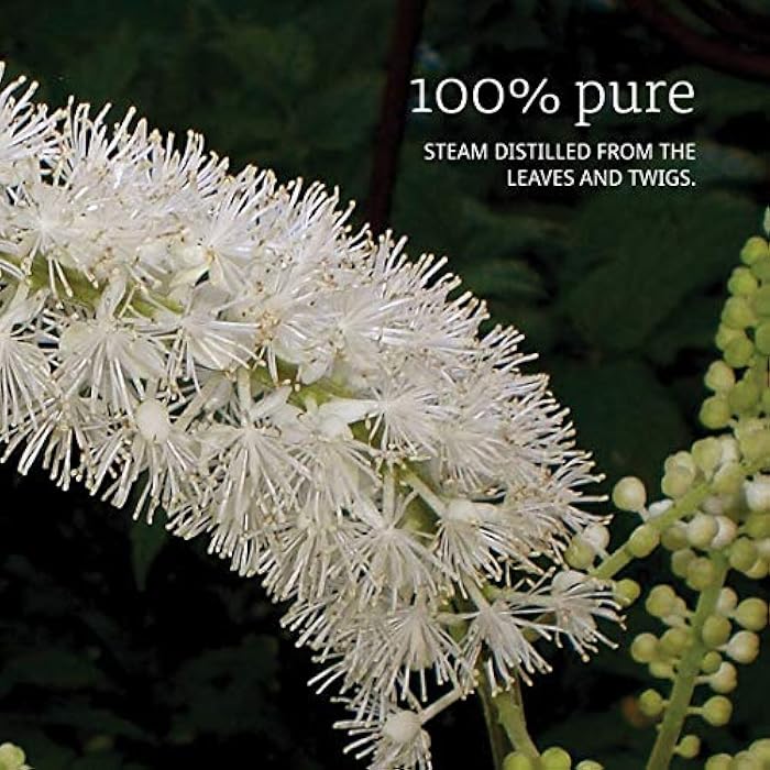 NOW Tea Tree Oil, 1-Ounce - Image 3