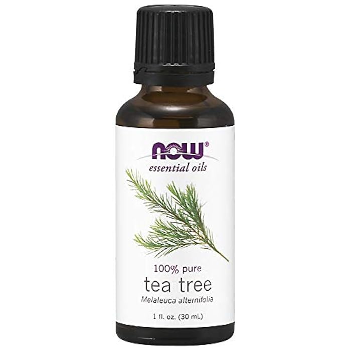 NOW Tea Tree Oil, 1-Ounce - Image 1