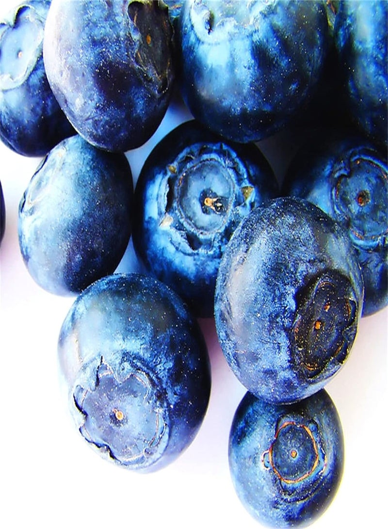 GGOOT Growing Blueberry Seeds Fruit Gardening for Kids Tailored to The Local Climate Home Garden