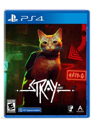 Stray