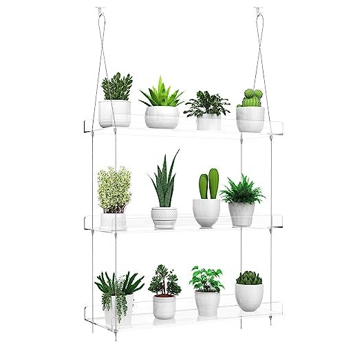 ZerzSemp 3-Tier Hanging Clear Plant Shelves for Windows, Acrylic Window Wall Plant Stand Shelf for Kitchen Indoor Gardens, Flower, Herb, Seedling Organization, and Pots Display, 16 Inch per Tier - Image 2
