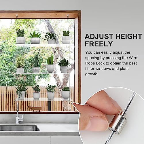 ZerzSemp 3-Tier Hanging Clear Plant Shelves for Windows, Acrylic Window Wall Plant Stand Shelf for Kitchen Indoor Gardens, Flower, Herb, Seedling Organization, and Pots Display, 16 Inch per Tier - Image 5