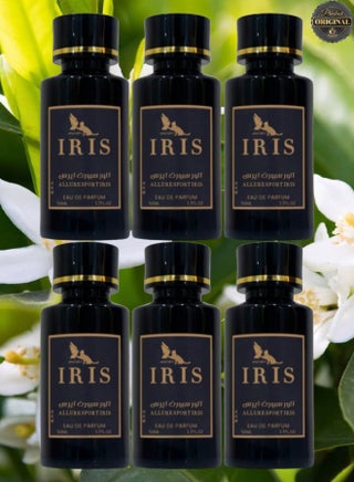 6 Pieces Allure Sport Iris Perfume 50ML - pzsku/Z22B6AE3A318348A9D22CZ/45/_/1740059935/da1cb9e3-e4a1-4b3c-8daa-356e2b90c64c