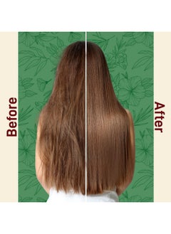 BIOBLAS BIOBLAS Argan Oil & Organic Olive Oil Shampoo for Women & Men - Hydrating, Repairing, Strengthening Hair Growth Shampoo - Hypoallergenic, Paraben & Dye Free - All Hair Types - 2 Pack  - Image 5