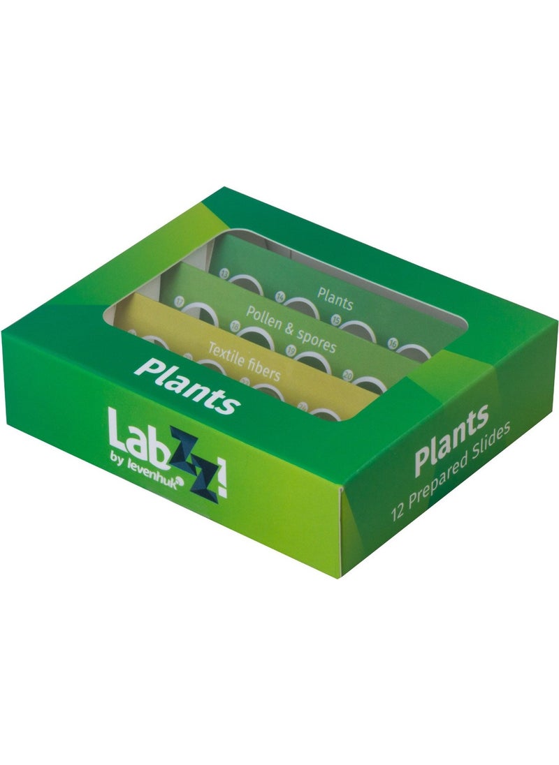 Levenhuk - Labzz P12 Plants Prepared Slide Set - Image 1