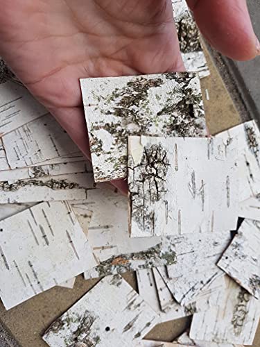 ECOWOODDECOR 30pcs - Natural Birch Bark Sheets 1.96"x2.36" Tags for Gifts. Product Wrapping or Decorating. - Image 3