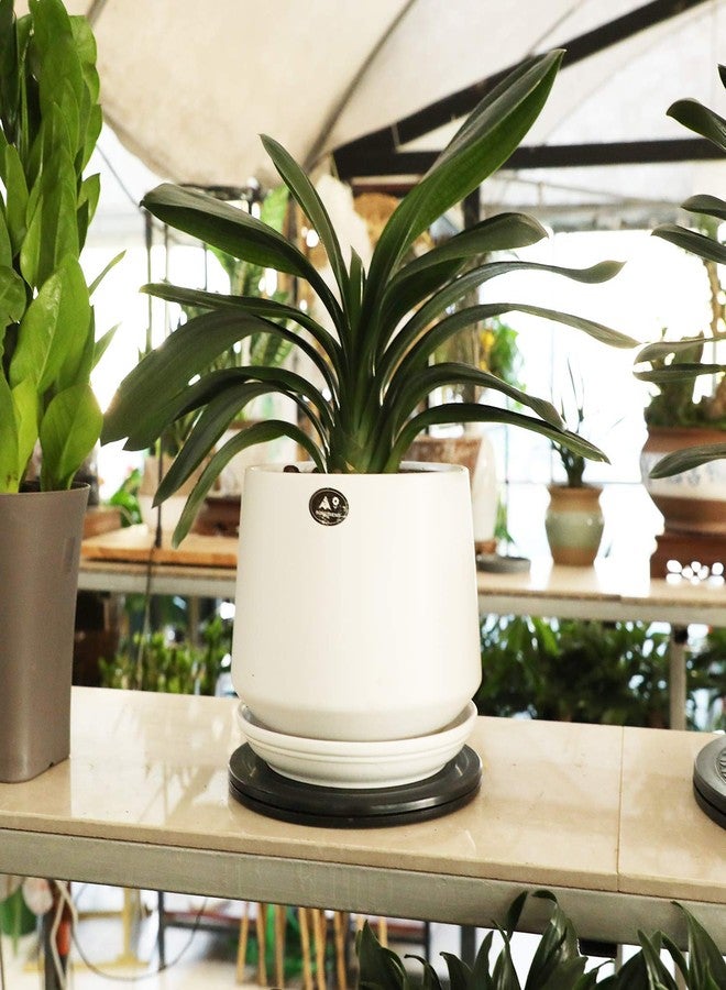 ZELARMAN 8" Bonsai Turntable Heavy Duty Rotating Garden Swivel Stand for Easy Trimming and Displaying Potted Plant - Image 4