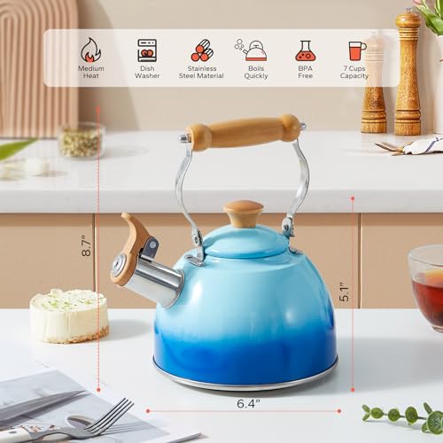 ROCKURWOK غلاية الشاي ROCKURWOK، إبريق شاي مع مقبض مريح بلمسة باردة، إبريق شاي من الفولاذ المقاوم للصدأ، غلاية شاي على الموقد، إبريق غلاية، غلاية شاي تصدر صفير، إبريق شاي صغير، 1.6 لتر (أزرق) - Image 5