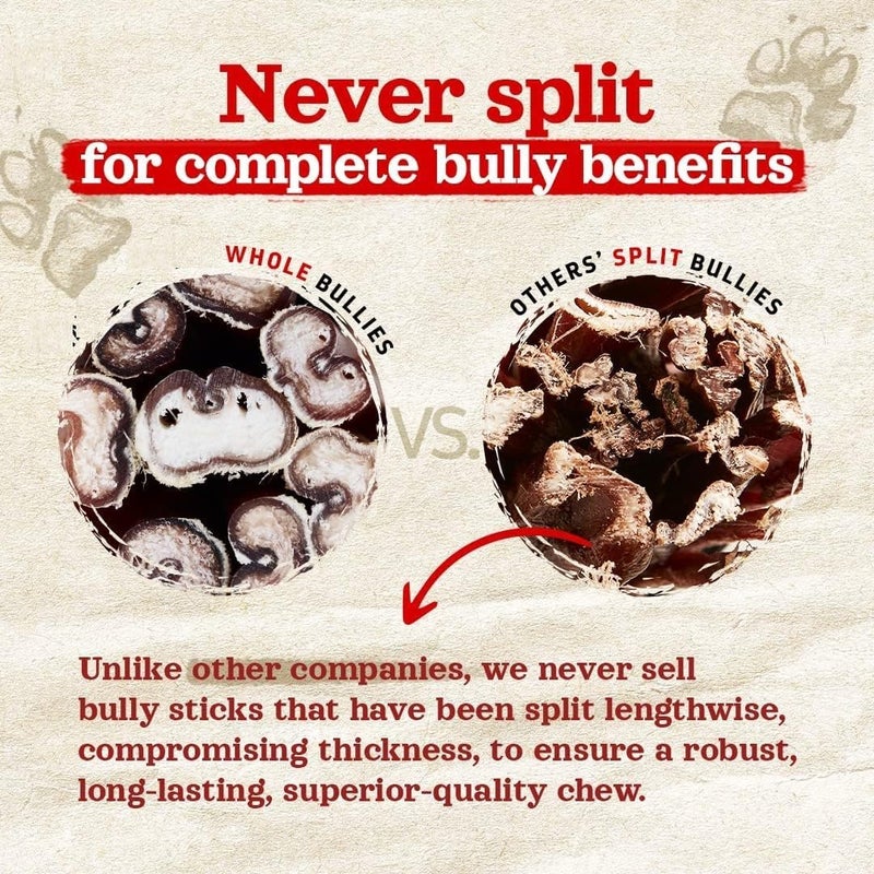 Chewers Thick Bully Sticks Dog Treat, 100 GMS - Image 4