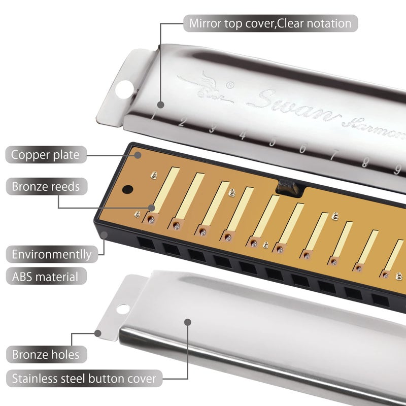 SWAN Blues Harmonica C Key for Kids Adults, 10 Hole Diatonic Harmonica Key of C, Metal Blues Harp for Beginners Students, Mouth Organ in Case, Silver - Image 5