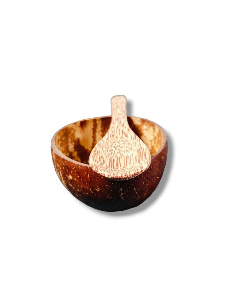 Eco Green Handmade Coconut Bowl with Spoon EcoFriendly and Creative Artwork Decoration Gifts Pack of 4 - Image 2