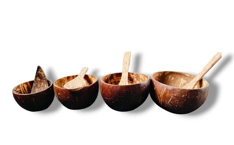 Eco Green Handmade Coconut Bowl with Spoon EcoFriendly and Creative Artwork Decoration Gifts Pack of 4 - Image 4