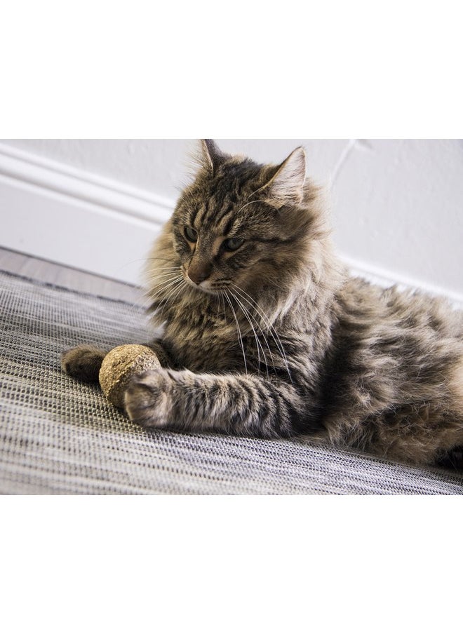 SmartyKat - SmartyKat Catnip Kiss Compressed Catnip Ball Toy - Natural, One Size - Image 1