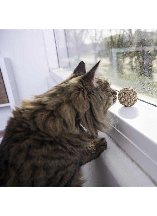 SmartyKat - SmartyKat Catnip Kiss Compressed Catnip Ball Toy - Natural, One Size - Image 1