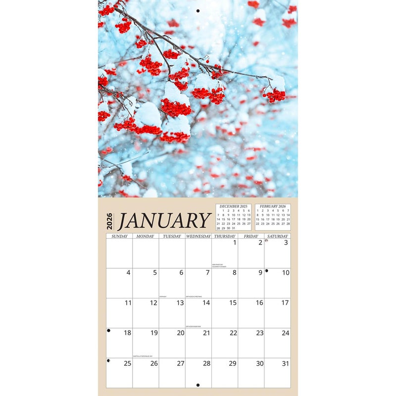 Crenstone Seasons Calendar 2026 - Deluxe 2026 Changing Seasons Wall Calendar Bundle with 100 Reminder Stickers (Nature Gifts, Office Supplies) | Made In The USA - Image 3