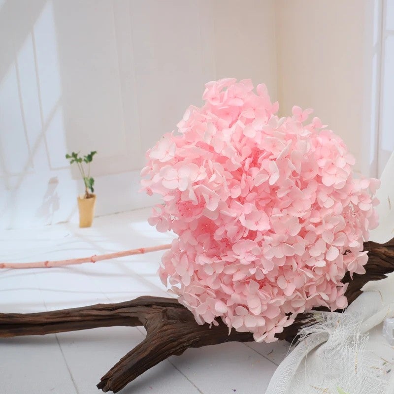 Bluejw Real Touch Dried Flowers Bouquet with Preserved Hydrangea – Natural Dried Plants for Wedding & Home Decoration - Image 3