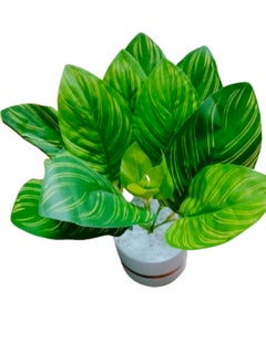 Vitacelli Indoor Calathea Ornata Sanderiana Artifical plant  in Pot  - Image 4