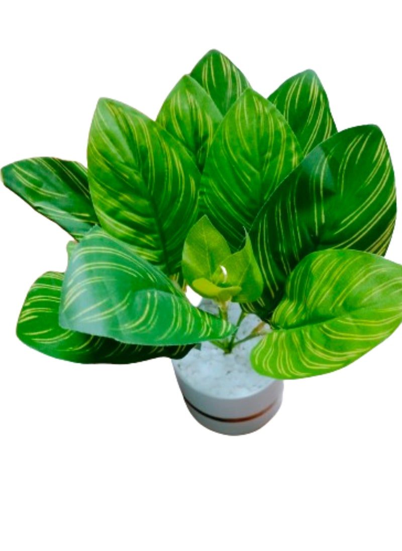 Vitacelli Indoor Calathea Ornata Sanderiana Artifical plant  in Pot  - Image 4