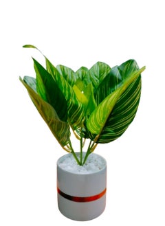 Vitacelli Indoor Calathea Ornata Sanderiana Artifical plant  in Pot  - Image 2
