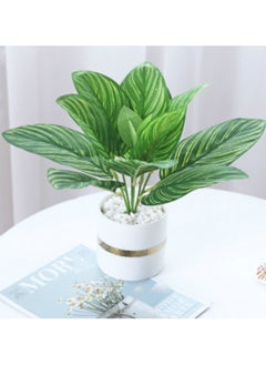Vitacelli Indoor Calathea Ornata Sanderiana Artifical plant  in Pot  - Image 1