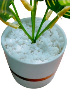 Vitacelli Indoor Calathea Ornata Sanderiana Artifical plant  in Pot  - Image 3