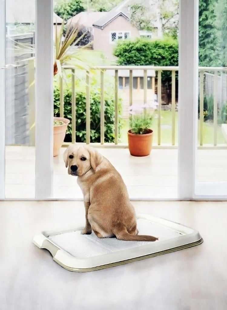 دوفو + وسادة الحيوانات الأليفة كبيرة (30 قطعة) 45 × 60 سم [الأبعاد - 45 × 60 سم] - Image 2