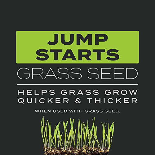 Scotts Turf Builder Triple Action Built For Seeding - Weed Preventer and Fertilizer for New Lawns, 1,000 sq. ft., 4.3 lbs. - Image 3