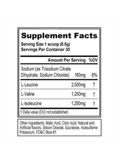 Evlution EVL BCAAs Amino Acids Powder - BCAA Powder Post Workout Recovery Drink and Stim Free Pre Workout Energy Drink Powder - 5g Branched Chain Amino Acids Supplement for Men - Blue Raz  - Image 2