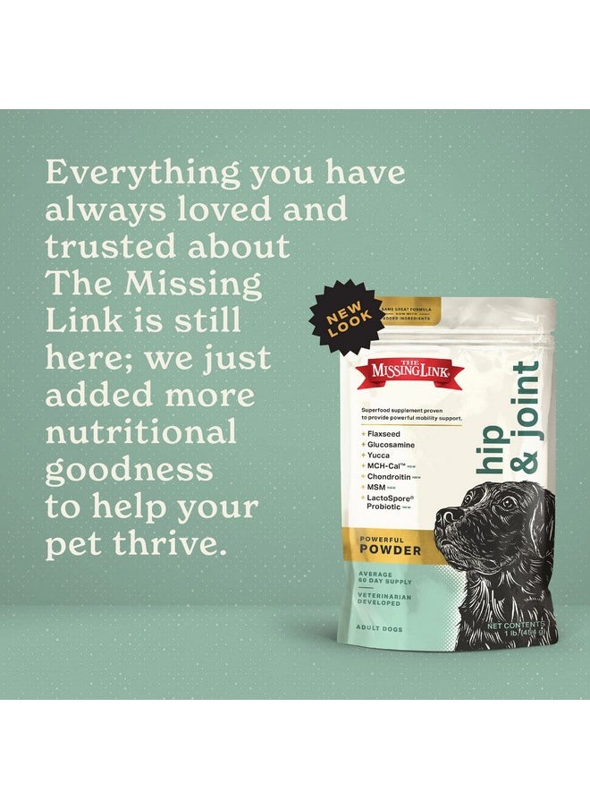 The Missing Link - Hip & Joint Probiotics Superfood Supplement Powder For Dogs  Omegas 3&6, Fiber, Glucosamine, Chondroitin, Msm, Ha  Cartilage & Bone Health, Joint Mobility & Flexibility  1Lb - Image 1