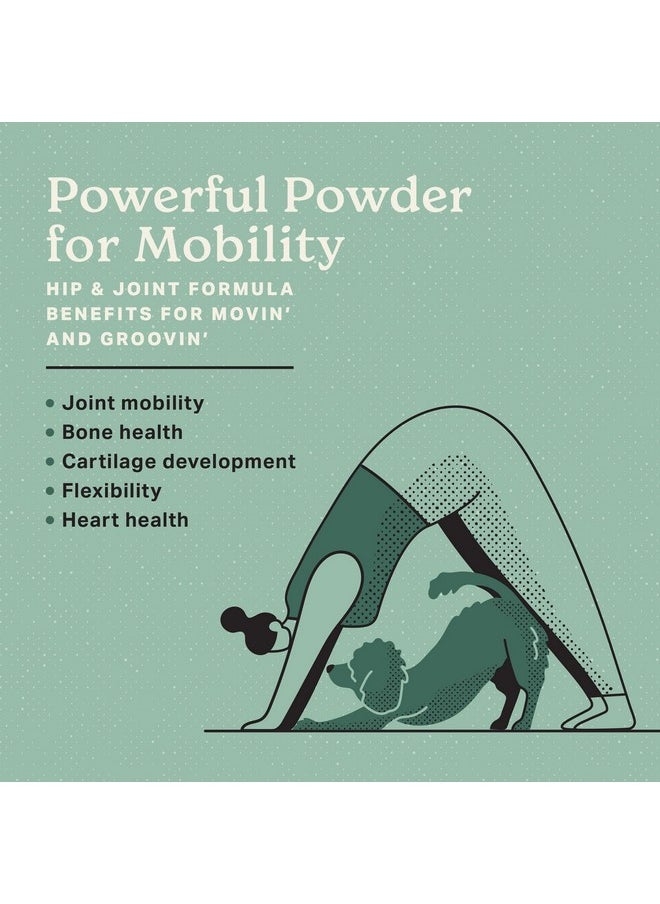 The Missing Link - Hip & Joint Probiotics Superfood Supplement Powder For Dogs  Omegas 3&6, Fiber, Glucosamine, Chondroitin, Msm, Ha  Cartilage & Bone Health, Joint Mobility & Flexibility  1Lb - Image 1