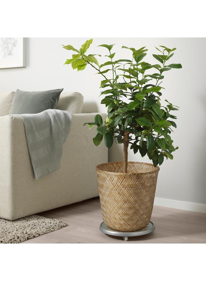 erorex Plant pot, handmade bamboo, 32 cm - Image 5